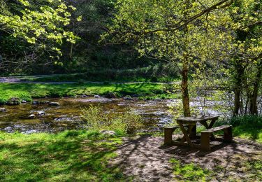 Tocht Te voet  - Lynmouth Circular via Watersmeet & Countisbury - Photo