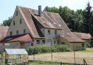 Percorso A piedi Eckental - Rundweg Ebach – Lillinghof - Photo