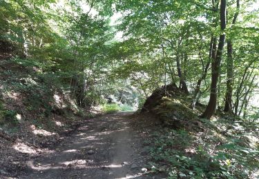 Trail Walking Theux - les digues . etang de chawion . devant staneux . les digues - Photo