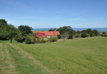 Tour Zu Fuß  - Nekselø - Photo