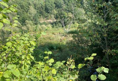 Trail Walking Saint Vith - Alersteg - Photo