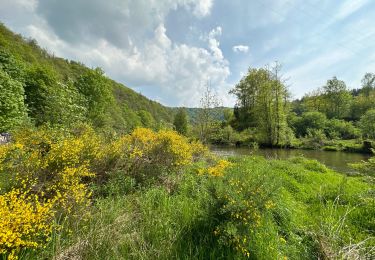 Tocht Stappen La Roche-en-Ardenne - Warempage 23 km - Photo
