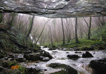 Tour Mountainbike Floirac - Boucle Floirac - Montvalent par Le Pech Cayrou et Roque De Cor - Photo