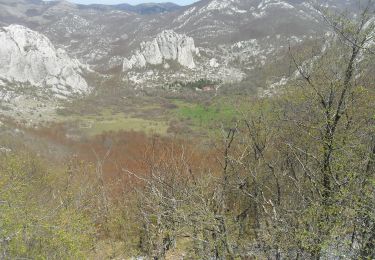 Tour Zu Fuß  - Bačić kuk iz Ravnog Dabra preko Bačić dulibe i Ripinovca - Photo