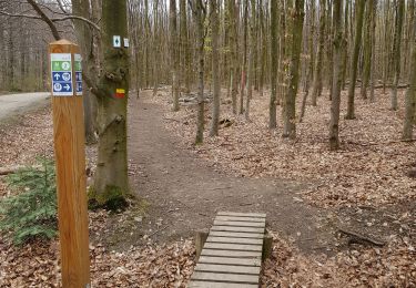 Tour Wandern Eupen - 2021-05-01_17h24m55_eupen - Photo