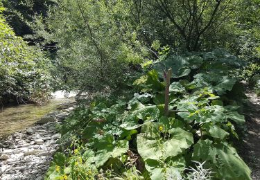 Trail On foot Bagno di Romagna - IT-161A - Photo