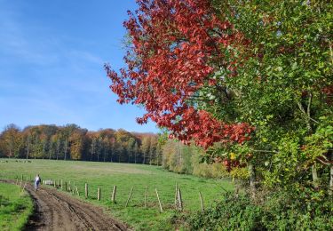 Tour Wandern Braine-le-Château - Braine le château - Photo