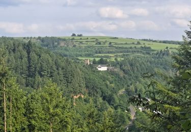 Trail Walking Burg-Reuland - Gr5 : Burg-Reuland-Duisburg  - Photo