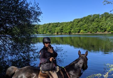 Randonnée Randonnée équestre Arfons - arfons4 - Photo