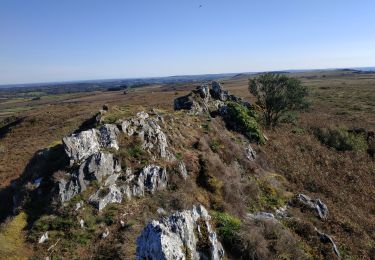 Tour Wandern La Feuillée - 2023-10-08 Roc'h trévezel - Roc'h ruz  - Photo