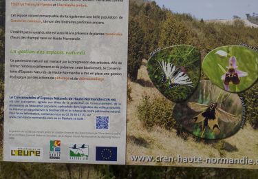 Tour Wandern Pacy-sur-Eure - voie romaine depuis salle de fetes - Photo