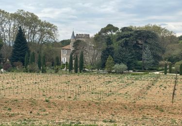 Randonnée Marche Aniane - À l’âne château Capion - Photo