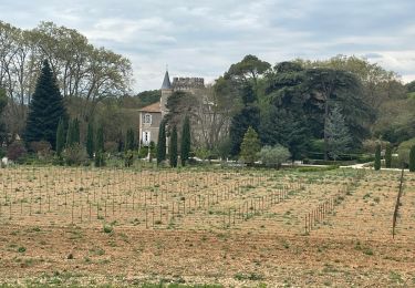 Trail Walking Aniane - À l’âne château Capion - Photo