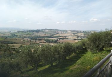 Excursión Senderismo Montepulciano - Montepulcciano Piennza - Photo