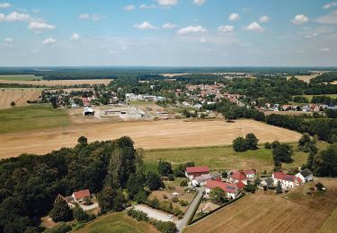 Randonnée A pied Neschwitz - Njeswačidło - SZ-Rundwanderweg - Photo