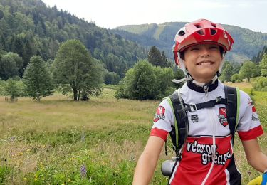 Tocht Mountainbike La Bresse - la bresse lispacht - Photo