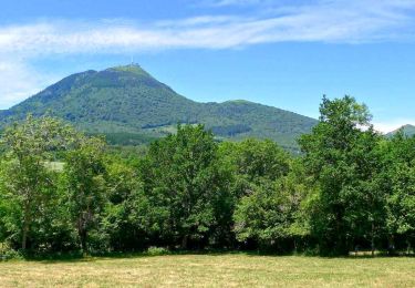 Trail Walking Royat - Orcines_Tiretaine_Artiere - Photo
