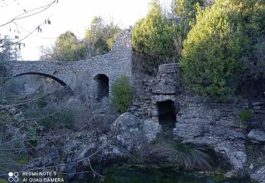 Percorso Marcia Durfort-et-Saint-Martin-de-Sossenac - 30 Conturby et Ourne  21/01/24 - Photo