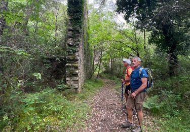 Trail Walking Saint-André-Lachamp - Tour des moulins  - Photo