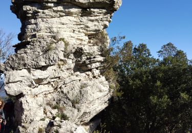 Tour Wandern Méounes-lès-Montrieux - le Gapeau par Valbelle - Photo