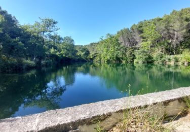 Tour Wandern Le Barroux - Les Crêtes du Graveyron par l'écluse de la Falque - Photo