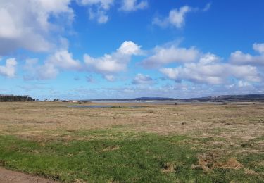 Excursión Senderismo Le Touquet-Paris-Plage - tour du touquet - Photo