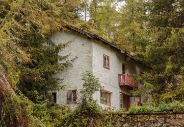 Percorso A piedi Peio - Sentiero delle carbonaie - Photo