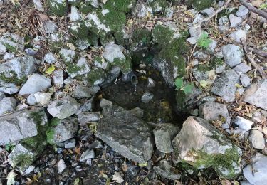 Percorso A piedi Capizzone - Sentiero 583: Medega (Capizzone) - Passo del Canto - Photo