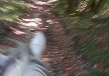 Tour Reiten Pont-de-Poitte - poitre binans 14/o7/19 - Photo