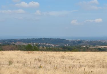 Trail Walking Saint-Jean-Saint-Maurice-sur-Loire - Bully 31/08/2022 - Photo