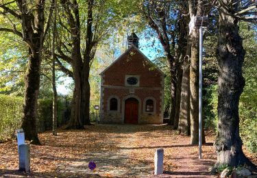 Tocht Stappen Thimister-Clermont - Froithier  - Photo