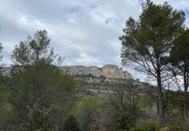 Randonnée Marche Mérindol - PF-Mérindol - Autour de la Roque Malière - Arboretum - Vieux Mérindol - FV - 28.03.2024 - Photo