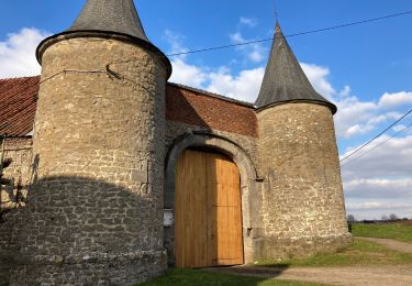 Tour Wandern Écaussinnes - Randonnée Ecaussinnes - Photo