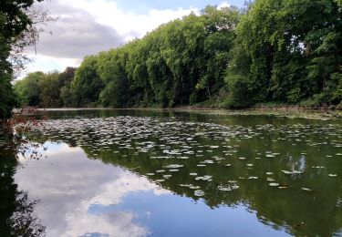 Tour Wandern Enghien - Le Parc d'Enghien et ses jardins exceptionnels  - Photo