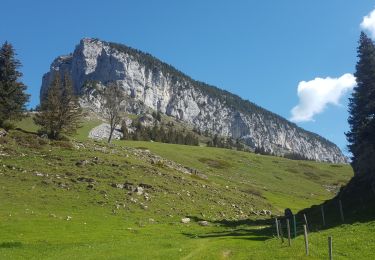 Excursión Senderismo Entremont-le-Vieux - Sommet Pinet à partir de la Balme - Photo