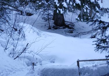 Tocht Sneeuwschoenen Montricher-Albanne - 74-vinouve_piste_lac_7km30m - Photo