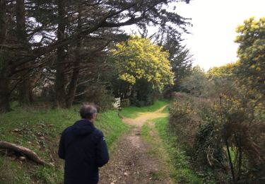 Trail Walking Saint-Gildas-de-Rhuys - 2021-02-20 GR34 APRÈS LE LOGEO - Photo