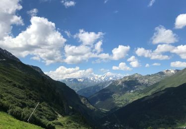 Tocht Stappen Tignes - A la recherche des myrtilles ....mûres  - Photo