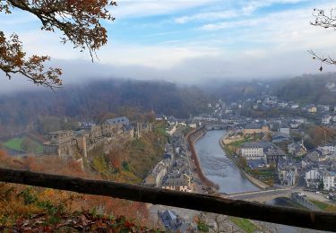 Tour Wandern Bouillon - Promenade de la Ramonette et Arboretum - Bouillon - Photo