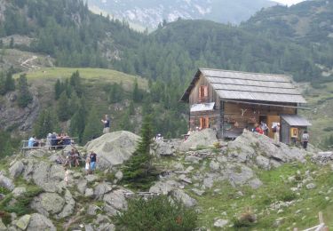 Tour Zu Fuß Bad Kleinkirchheim - 13 - St. Oswalder Bockhütte - Predigerstuhl - Photo