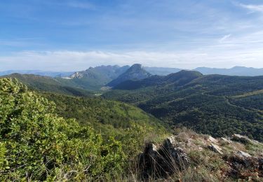 Trail Walking Saou - Rochecolombe - Photo