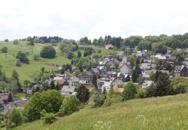 Tocht Te voet Deesbach - Gelber Punkt - Photo