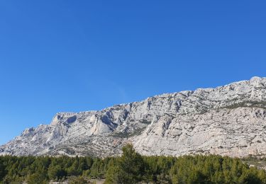 Trail Walking Saint-Antonin-sur-Bayon - ste victoire.les anes.jacky - Photo