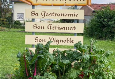 Tour Elektrofahrrad Scharrachbergheim-Irmstett - Place des Pandours - Photo