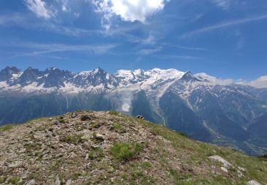 Tocht Stappen Les Houches - aiguillettes des houches - Photo