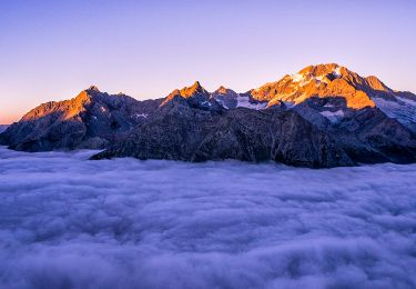 Tour Zu Fuß Chiesa in Valmalenco - (SI D23N) Rifugio Gerli Porro all' Alpe Ventina - Rifugio Longoni - Photo