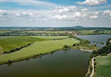 Tocht Te voet Grimma - Rundwanderung Döllnitzsee - Photo