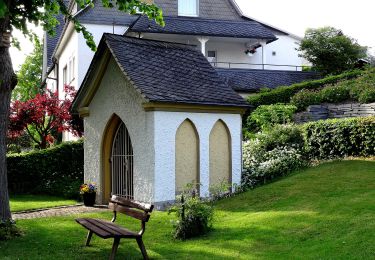 Percorso A piedi Schmallenberg - Bad Fredeburg Rundweg BF5 - Photo