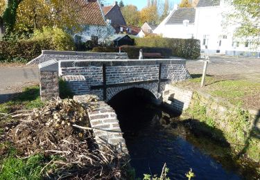 Tour Zu Fuß Kinrooi - Kessenich en de Drie Eigen Groene rechthoek - Photo