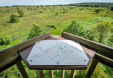 Trail Walking Spa - SPA 17 - La Fagne de Malchamps par la Vecquée 🟦 - Photo
